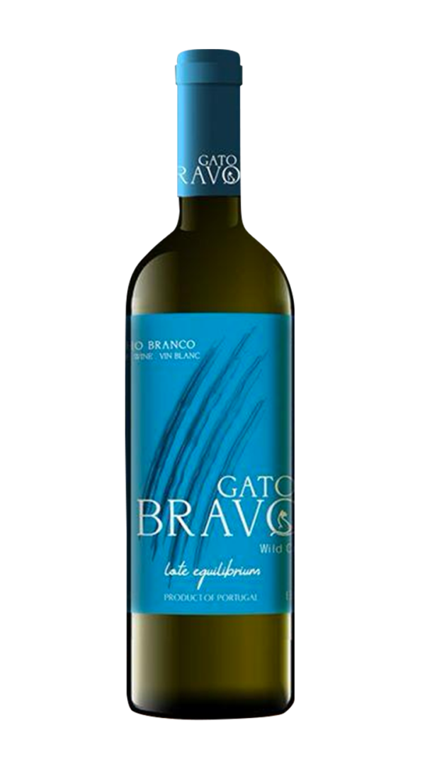 Gato Bravo Branco Equilibrium